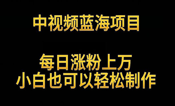 中视频解读英雄人物项目