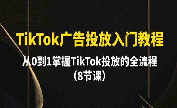 TikTok广告投放入门教程