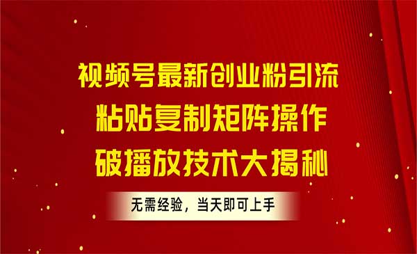 视频号最新创业粉引流